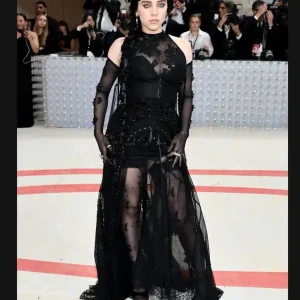 Billie Eilish Dress Style