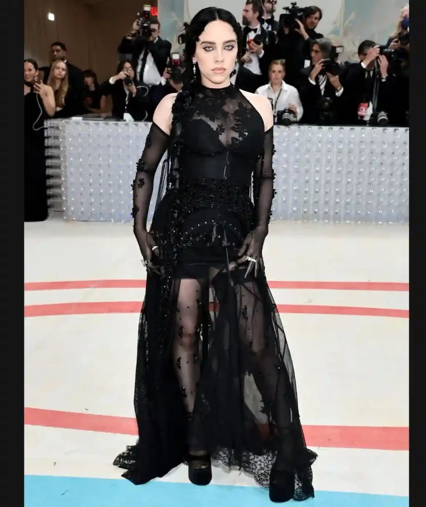 Billie Eilish Dress Style